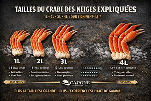 🦀 ÉDU-CAPONE #2 — LES TAILLES 1L, 2L, 3L, 4L : CE QUE ÇA VEUT VRAIMENT DIRE