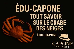 Découvrez tout sur le crabe des neiges : tailles 1L à 4L, âge, alimentation, habitat et qualité. L’expertise Édu-Capone pour mieux choisir et savourer.