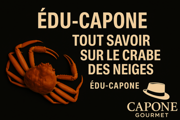 Découvrez tout sur le crabe des neiges : tailles 1L à 4L, âge, alimentation, habitat et qualité. L’expertise Édu-Capone pour mieux choisir et savourer.