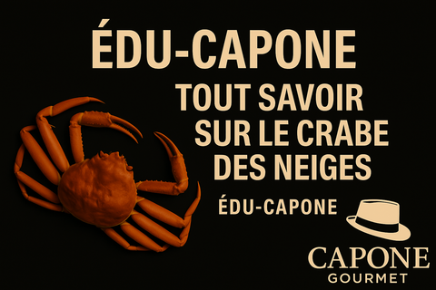 ÉDU-CAPONE – LE CRABE DES NEIGES : TAILLES, BIOLOGIE, QUALITÉ ET SAVOIR-FAIRE QUÉBÉCOIS