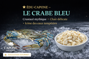 🎩 ÉDU-CAPONE — LE CRABE BLEU