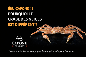 🦀 ÉDU-CAPONE #1 — POURQUOI LE CRABE DES NEIGES EST DIFFÉRENT ?
