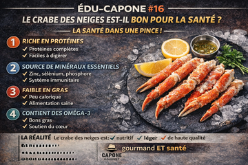 🦀 ÉDU-CAPONE #16 — LE CRABE DES NEIGES EST-IL BON POUR LA SANTÉ?