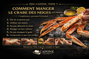 🦀 ÉDU-CAPONE #7 — COMMENT MANGER LE CRABE DES NEIGES (LES BASES)