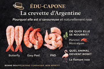 🦐 Édu-Capone – La crevette d’Argentine