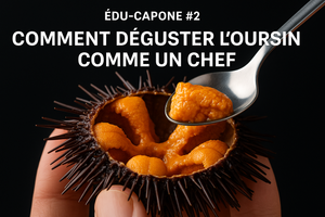 Dégustation d’oursin du Québec comme un chef – ÉDU-CAPONE Capone Gourmet