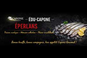 🎩 ÉDU-CAPONE — L’ÉPERLAN