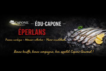 🎩 ÉDU-CAPONE — L’ÉPERLAN