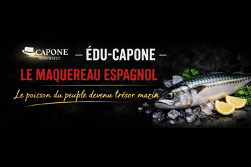 Édu-Capone | Maquereau espagnol : le poisson du peuple devenu trésor marin
