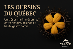 Oursins du Québec – gonades d’oursins fraîches, produit marin gastronomique canadien