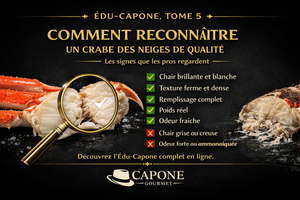 🦀 ÉDU-CAPONE #5 — COMMENT RECONNAÎTRE UN CRABE DES NEIGES DE QUALITÉ