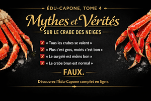🦀 ÉDU-CAPONE #4 — MYTHES ET VÉRITÉS SUR LE CRABE DES NEIGES