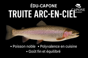 ÉDU-CAPONE Capone Gourmet – Truite arc-en-ciel entière fraîche sur fond noir, poisson premium reconnu pour sa chair délicate, sa provenance contrôlée et sa polyvalence en cuisine.