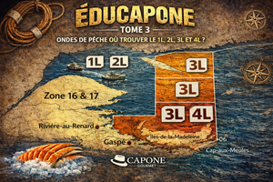 Carte des zones de pêche du crabe des neiges Québec 12 16 17