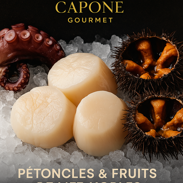 Pétoncles et fruits de mer nobles Capone Gourmet – assortiment de pétoncles, oursins, seiches et poulpes disposés sur glace, collection premium de produits marins du Canada, du Maroc et du Japon.