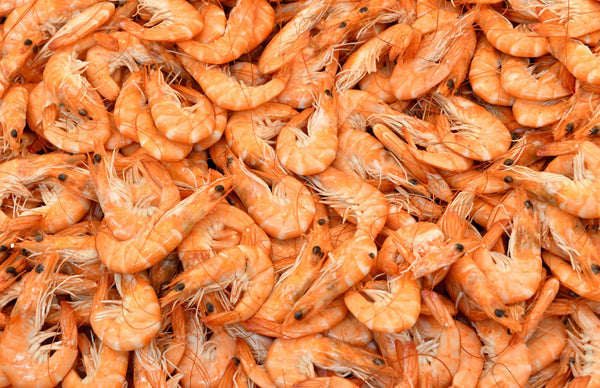 Crevettes Nordiques entières en écaille surgelées - 5 KG