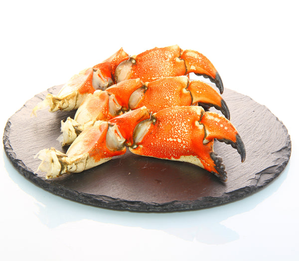 Jonah Crab Jumbo Claws (Stone crab)