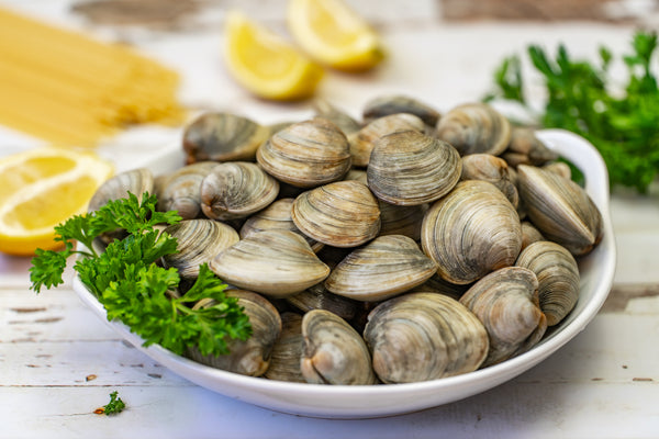 Clams (Pasta clam, Littleneck, Cherrystone, Mye)