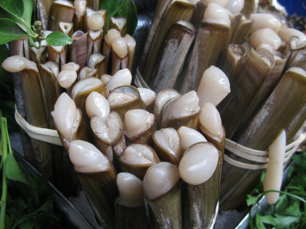 Razor clams