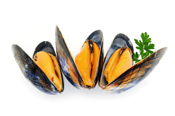 Atlantic mussels