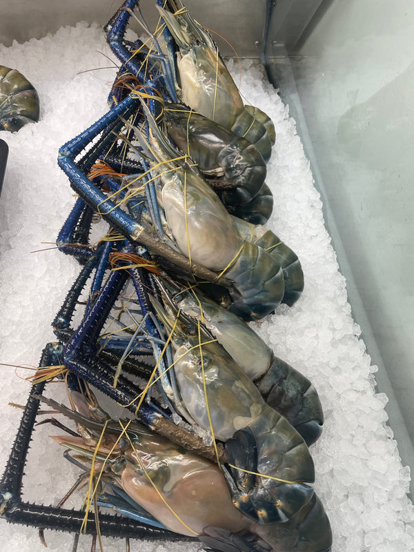 Pacific White Shrimp 26/30 P&amp;D, Raw, Peeled, Guillemed with tail