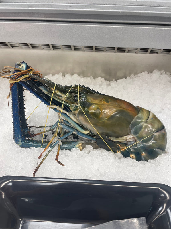 Pacific White Shrimp 26/30 P&amp;D, Raw, Peeled, Guillemed with tail