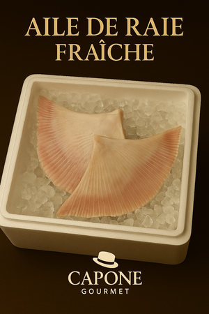 Aile de raie fraîche Capone Gourmet – chair blanche et fine