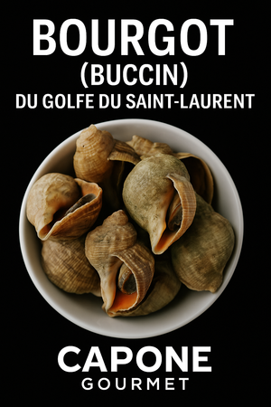 Bourgot (Buccin) du Golfe du Saint-Laurent – Capone Gourmet