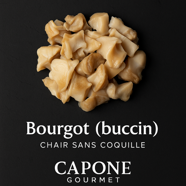 chair de debourgot (buccin) du golfe du saint laurent capone gourmet