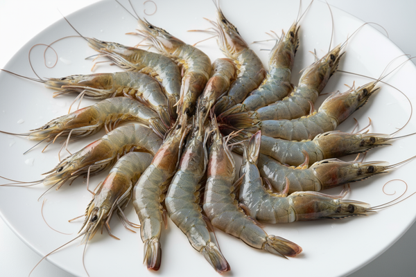 Crevettes d’eau douce 4/6 deep-cut Capone Gourmet – sans tête, formats pro