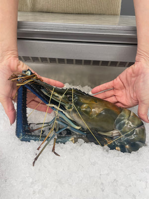 Crevette géante du Sri Lanka Capone Gourmet – chair ferme et sucrée