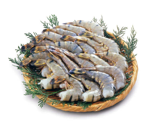 Crevettes Black Tiger sans tête surgelées en bloc de glace Capone Gourmet – 4 lb