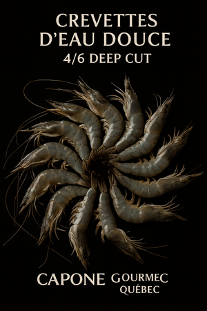 Crevettes d’eau douce 4/6 deep-cut Capone Gourmet – sans tête, formats pro