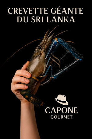 Crevette géante du Sri Lanka Capone Gourmet – chair ferme et sucrée