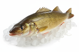 Doré entier frais canadien Capone Gourmet – en filet ou entier, formats 5 lb à 20 lb