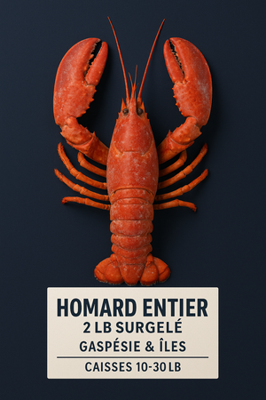 Homard frais cuit – non surgelé – Gaspésie & Îles – Formats 15 lb et 30 lb
