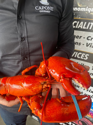 Homard frais cuit Gaspésie Îles-de-la-Madeleine – Capone Gourmet – Livraison gratuite au Québec