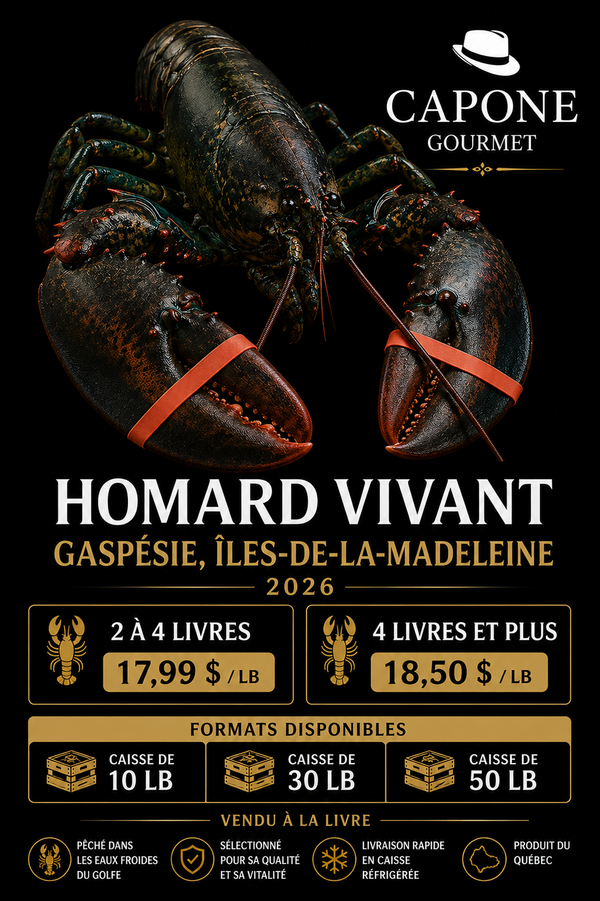 HOMARD VIVANT – GASPÉSIE & ÎLES-DE-LA-MADELEINE 2026