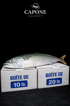 Maquereau espagnol frais éviscéré en boîte – poisson frais préparé par Capone Gourmet