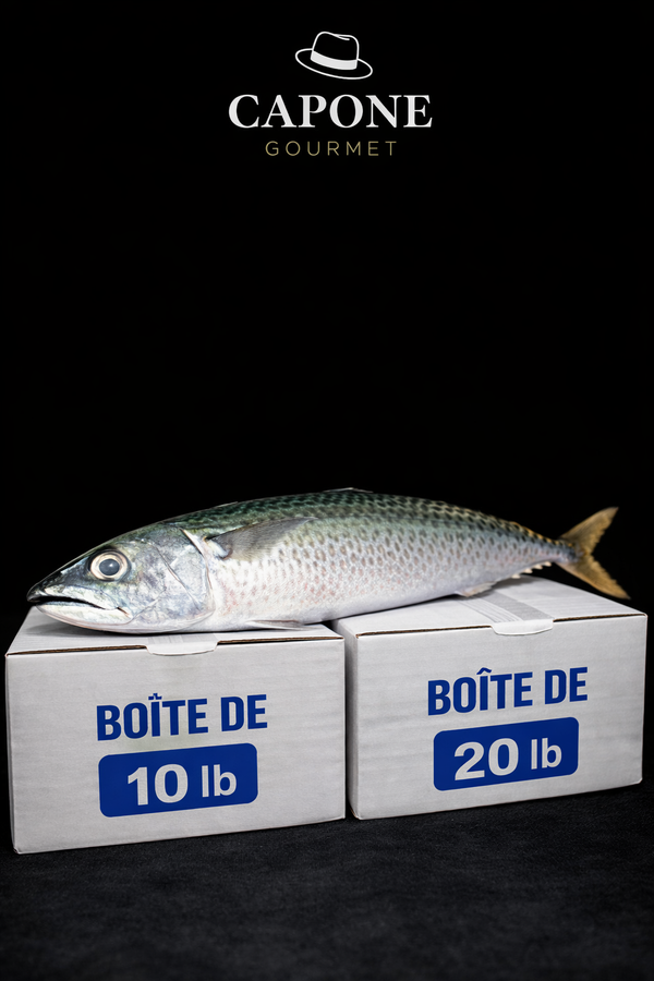 Maquereau espagnol frais éviscéré en boîte – poisson frais préparé par Capone Gourmet