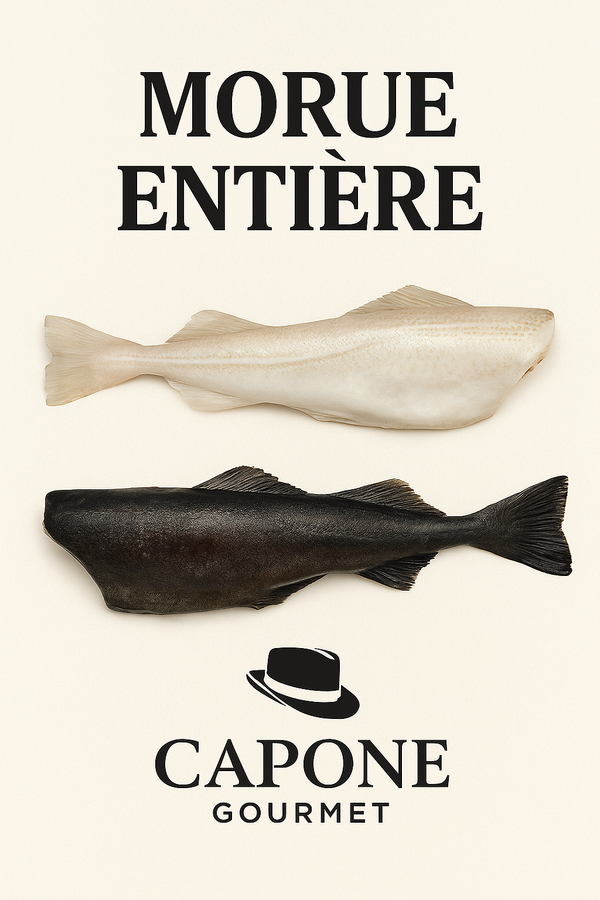 Morue entière fraîche sans tête sur glace – Capone Gourmet