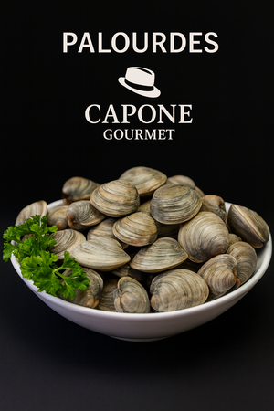 Palourdes fraîches Littleneck et Cherrystone – Idéales pour recettes de fruits de mer
