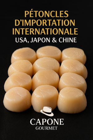 Pétoncles d’importation internationale – USA Japon Chine – Capone Gourmet Québec