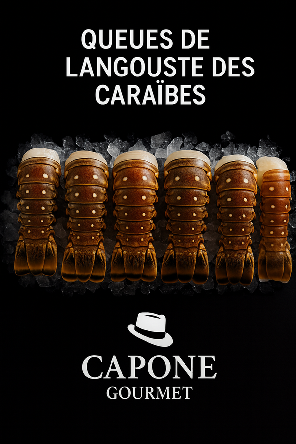 Langoustes des Caraïbes 3 oz à 10/12 oz | Capone Gourmet