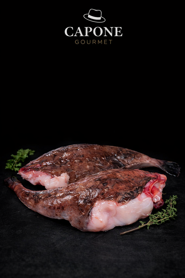 Queue de lotte fraîche en boîte – poisson noble à chair ferme Capone Gourmet