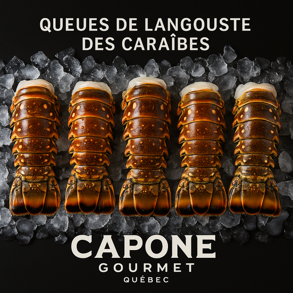 queues de langouste des caraibes premium capone gourmet