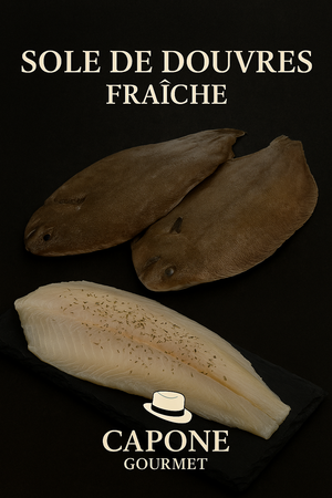 Filet de sole de Douvres frais - Poisson gourmet de qualité supérieure