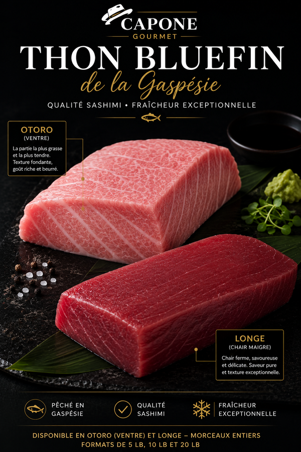 Thon Bluefin de la Gaspésie